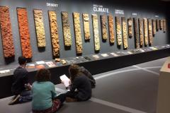Students actively studying during an assignment in the World Soil Museum (photo credit: S. Mantel)