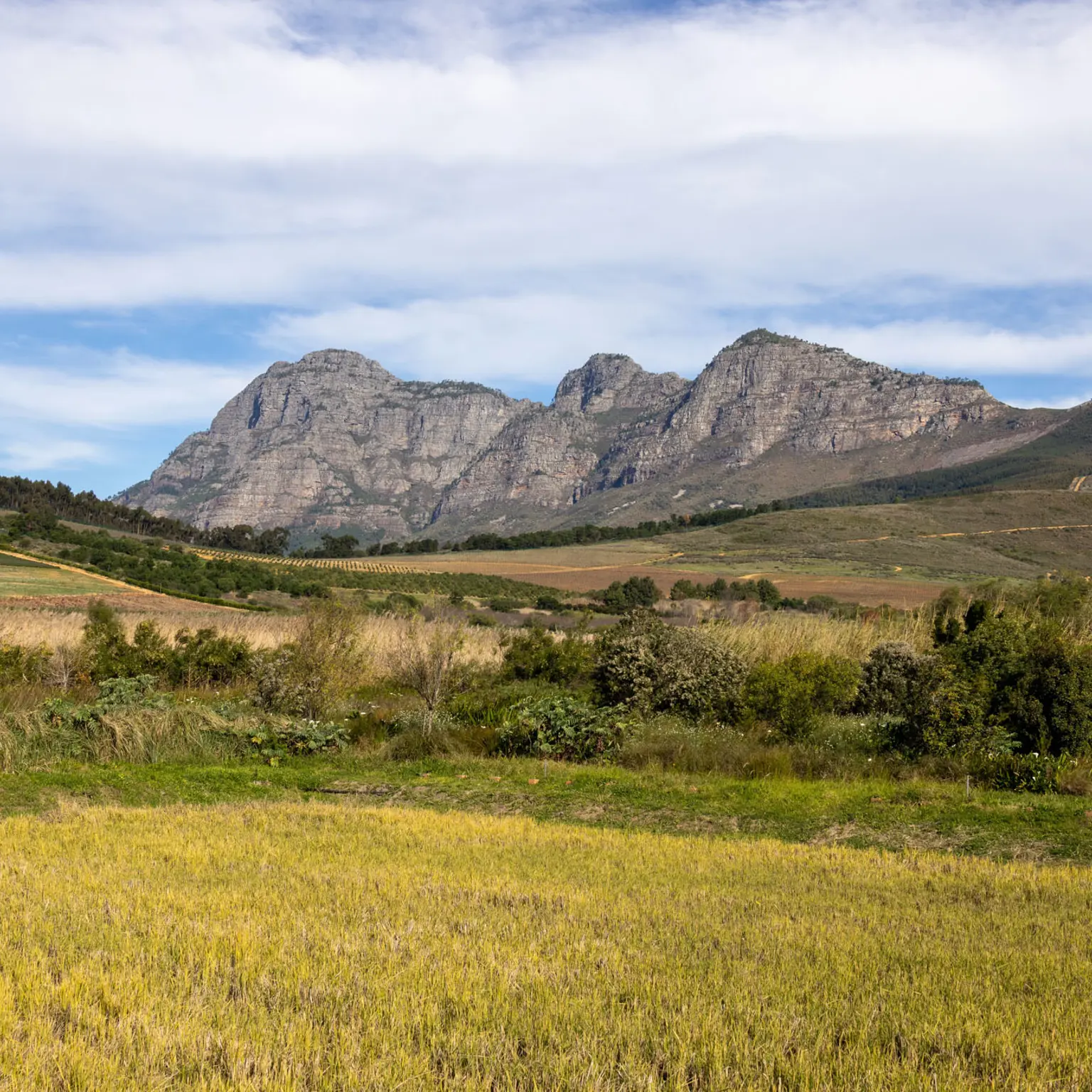 Webinar: Soils without borders: Building a soil science community for Southern Africa