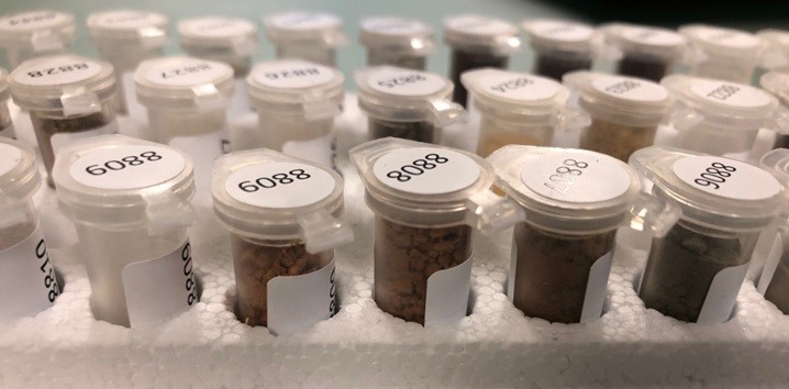 Samples prepared for analysis