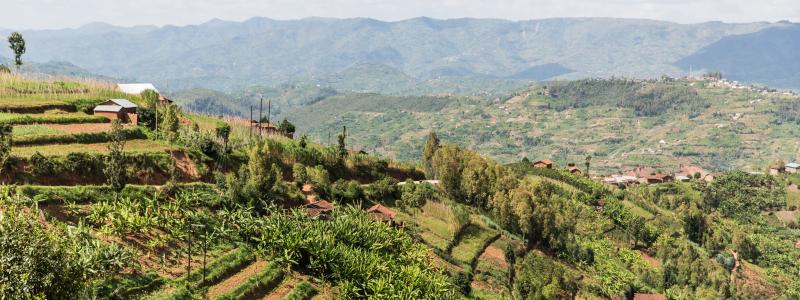 Ngororera District, Rwanda. Photo: IOM 2017/Amanda Nero
