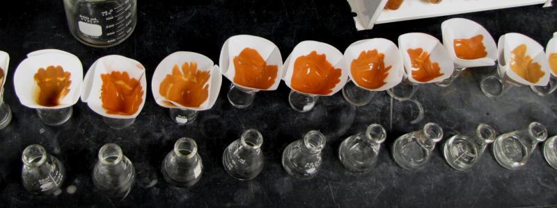 Filtering soil samples (Credit: Prof. Ray R. Weil, Univ. of Maryland) Filtering soil samples (Credit: Prof. Ray R. Weil, Univ. of Maryland)