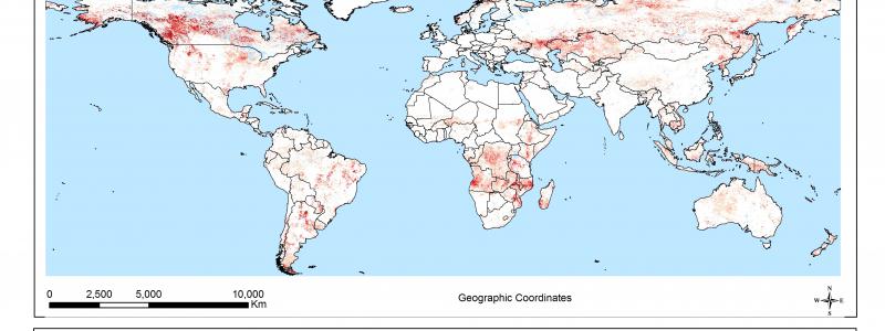 land degradation assignment