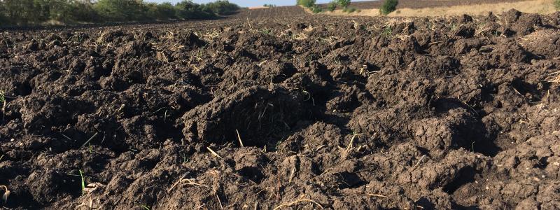 A ploughed field of a soil rich in organic matter (Luvic Chernozem).  Location: Agricultural Research Station in Turda, Romania.