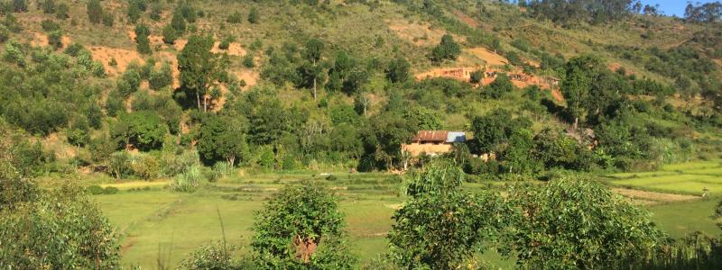 Madagascar landscape