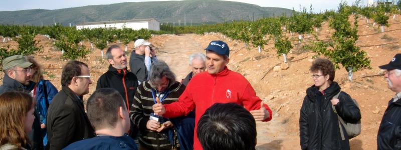 Prof. Artemi Cerda discussing soil management under orange plantations in Xàtiva/Spain (T. Caspari)