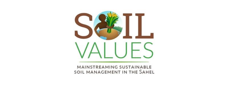 Soil Values graphic
