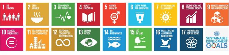 The 17 UN Sustainable Development Goals