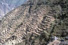 Terraces in the Middle Hills of Nepal, to control erosion and make agriculture on steeps slopes possible. Photo Godert van Lynden 