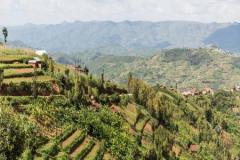Ngororera District, Rwanda. Photo: IOM 2017/Amanda Nero