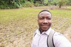 FERARI project on-farm rice experiment field at Mampong, near Kumasi, Ghana. 