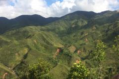 Recent landslide scars after heavy rainfall on deforested steep hillslopes