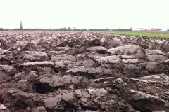 Freshly ploughed river clay. Wageningen, the Netherlands (photo: S. Mantel)
