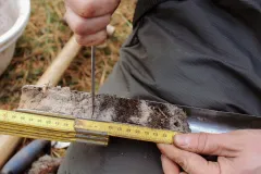 Training on forest soil sampling