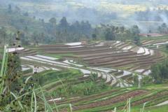 "Dry" terraces and irrigated "Sawahs" for rice, Indonesia. Photo: WOCAT