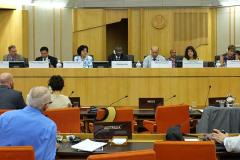GSP Plenary meeting