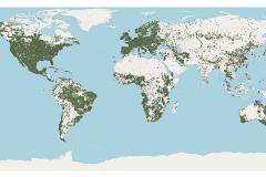 Map of WoSIS latest snapshot