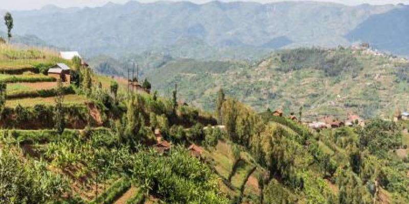 Ngororera District, Rwanda. Photo: IOM 2017/Amanda Nero