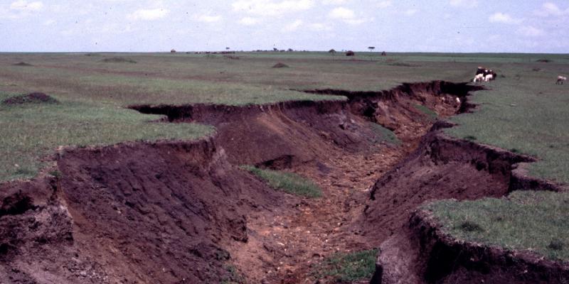 Water erosion causing gullies in the landscape