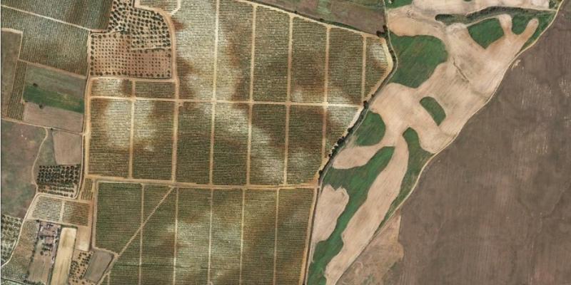 Soil variation within fields in Andalucia, Spain (Rociana del Condado). Source: Google Earth.