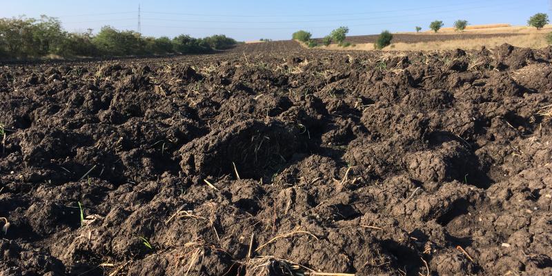 A ploughed field of a soil rich in organic matter (Luvic Chernozem).  Location: Agricultural Research Station in Turda, Romania.