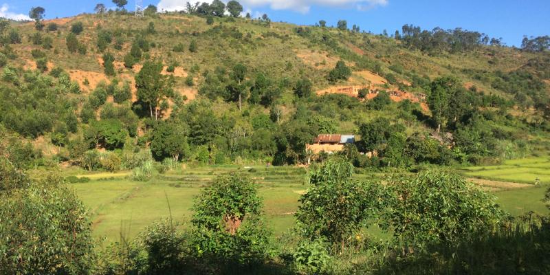 Madagascar landscape