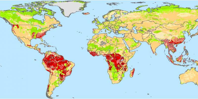 Global distribution of soil phosphorus retention potential