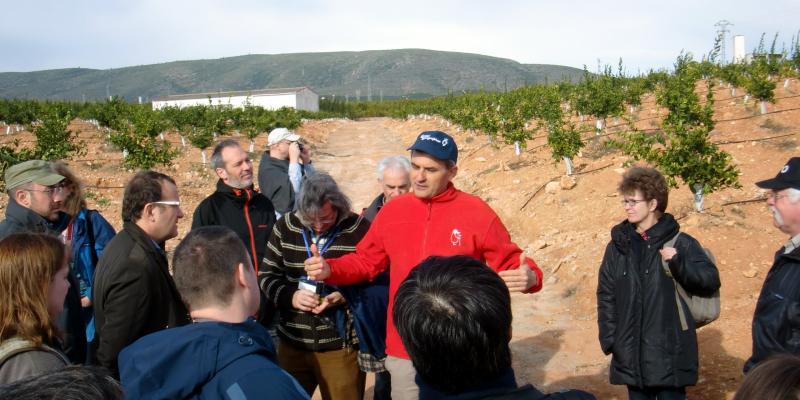 Prof. Artemi Cerda discussing soil management under orange plantations in Xàtiva/Spain (T. Caspari)