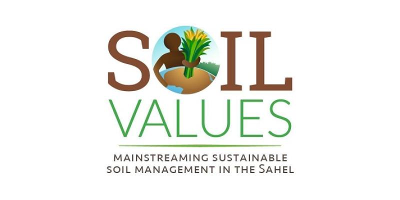 Soil Values graphic