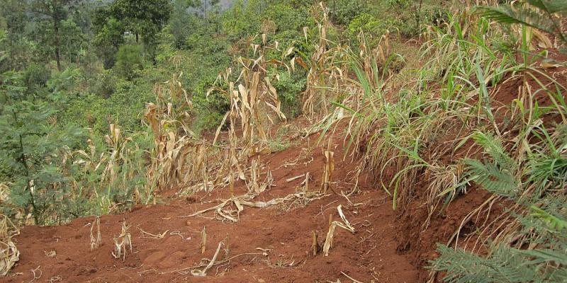 Poorly managed land