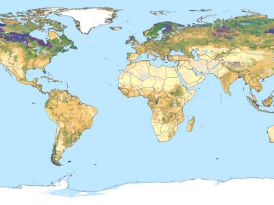 Digital Soil Map Of The World Explore | Isric